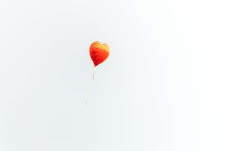 Red heart-shaped balloon filled with helium, the balloon flies upの写真素材