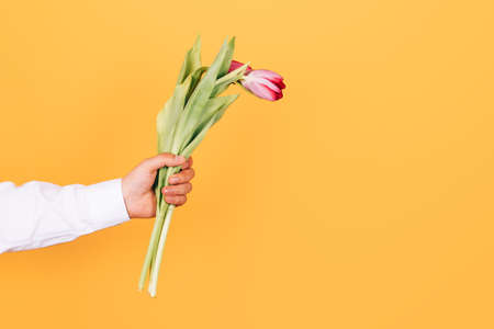 Man's hand reaching out a bunch of yellow tulips on blue background with copy spaceの写真素材