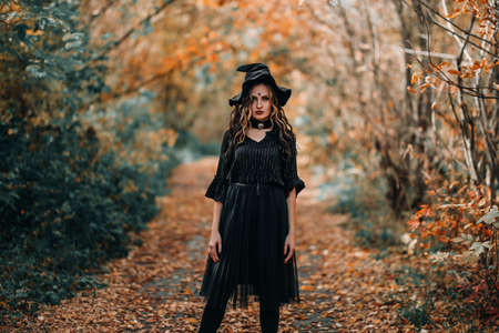 Woman in black halloween witch costume standing on forest background.の写真素材