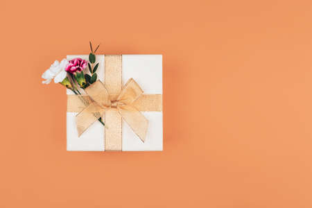Two dianthus are inserted into a beautiful gift tied with a ribbon, a beautiful bow on the box, a gift on an orange background.の写真素材