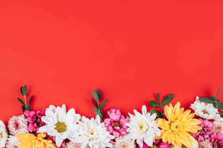 Beautiful frame of flowers on a red background, free space in the middle for the text with congratulations.の写真素材
