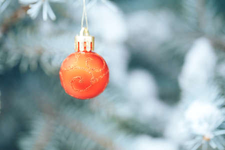 Red ball hangs on a branch of a Christmas tree. Photo for greeting cards. Christmas mood. White snow...