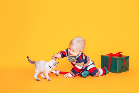 A little boy in a Christmas costume plays with a little kitten. Christmas mood. On a yellow background, a large box with a gift in green packaging and a red ribbon.の写真素材