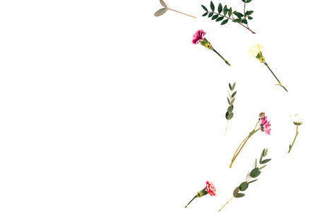On a white background, flowers from different species are laid out in a circle, branches with beautiful leaves, blooming flowersの写真素材
