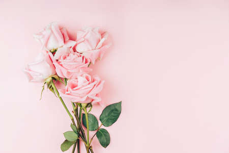 Beautiful bouquet of roses in front of pink background. Free space for text.の写真素材