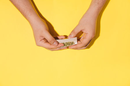 Man's hands rolling dry cannabis or herbal smokes on hipster yellow background. Flat lay.