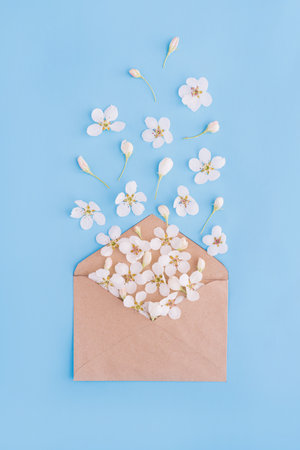 White flowers fly out of paper envelope on blue background. Good news concept and spring has arrivedの写真素材