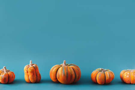 Handmade Pumpkins of different sizes stand in row against blue background.