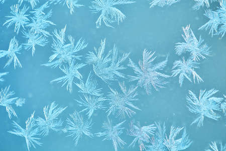 Macro shot of snowflakes on blue background.