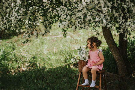 Asian girl sitting on stepladder under an apple tree.の写真素材