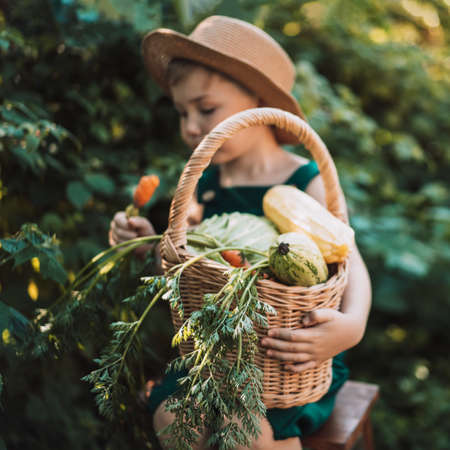 Boy in overalls holding large basket of vegetables.の写真素材