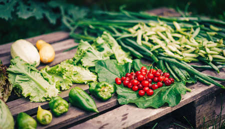 Freshly harvested vegetables and berries lie on wooden pallet.の写真素材