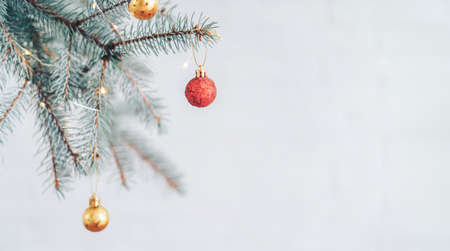 Branch of Christmas tree with bauble in against of a gray background.