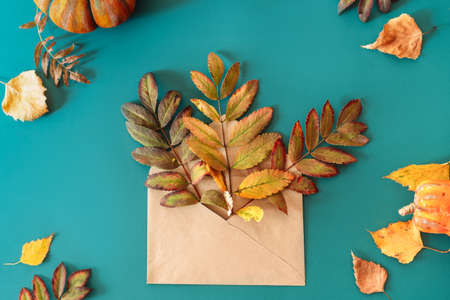 Dry branches with leaves stick out from paper envelope on cyan background with dry leaves.