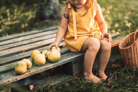 Girl in overalls sitting on pallet eats pears.の写真素材