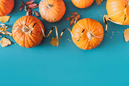 Beautifully arranged pumpkins with yellow leaves and gold ribbon on blue backgroundの写真素材