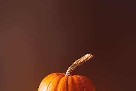 Top of orange pumpkin with large stump against brown background.の写真素材