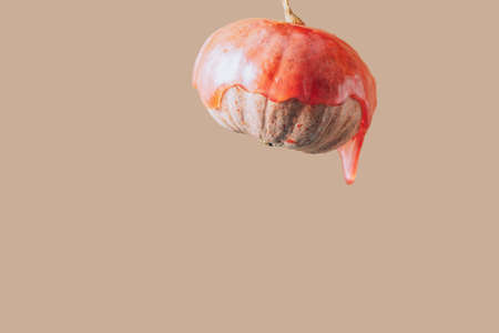 Beautiful orange pumpkin covered with red slimeの写真素材