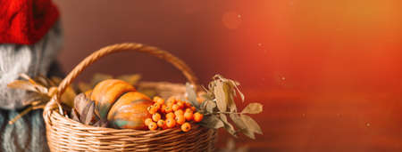 Wicker basket with autumn harvest on the background of woolen sweaters of different colors.