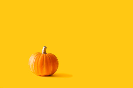 Beautiful orange pumpkin against yellow background.の写真素材