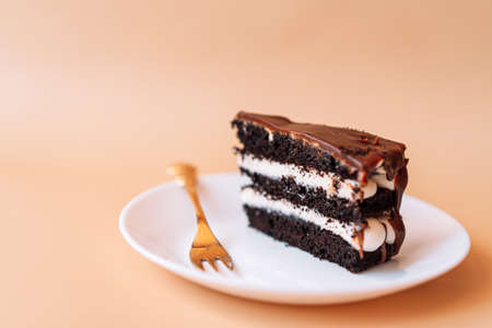 Piece of chocolate cake on plate with golden fork.の写真素材