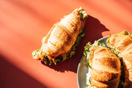 Sandwich with red fish on orange backgroundの写真素材