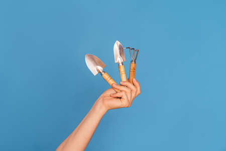 Womans hand with small shovels and rakes against blue backgroundの写真素材