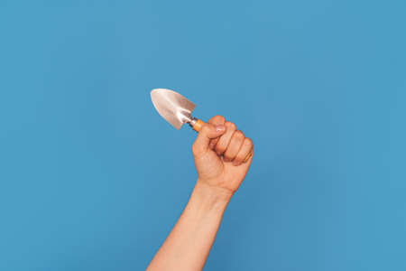 Womans hand with small shovel against blue backgroundの写真素材