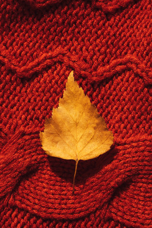 Close-up background of red knitting with yellow birch leafの写真素材