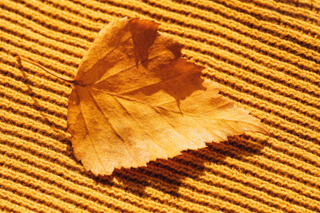 Background of yellow knitted woolen thread close-up with yellow leaf