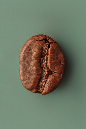 Coffee bean macro photography on green backgroundの写真素材
