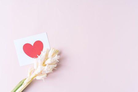 Blooming white hyacinth with a card on a pink backgroundの写真素材