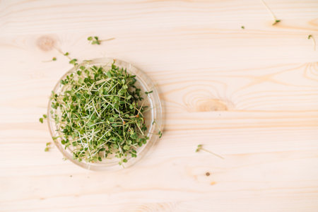 Young shoots of microgreens on glass plate on wooden tableの写真素材