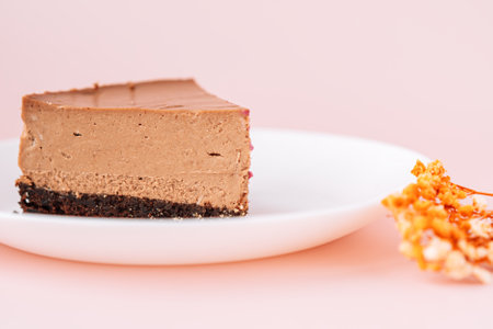 Chocolate cheesecake on plate against pink background with dried flowersの写真素材