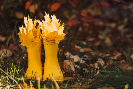 Yellow rubber boots with yellow leaves on a wooden palletの写真素材