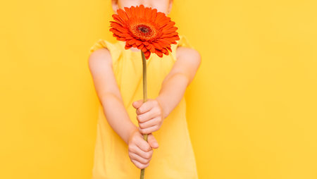 Little girl holding red flower in front of her in front of her in front of yellow backgroundの写真素材