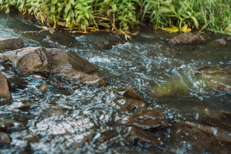 Small river flows over stonesの写真素材