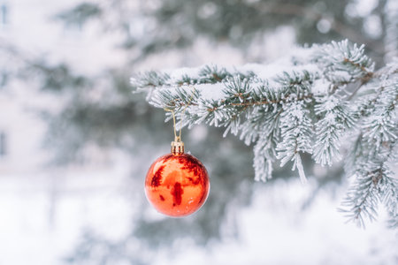 Red glasses bauble on christmas tree with snow outdoorの写真素材