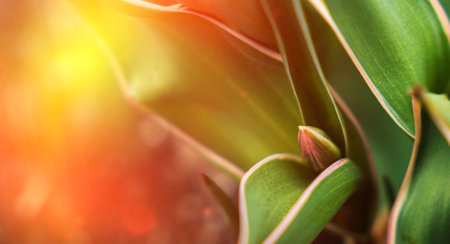 A close-up photo of small green tulip bud with red tip on a background of green leaves. Spring backgroundの写真素材