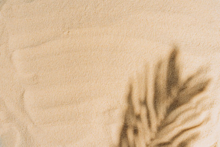 summer background of beach sand with shadows palm leavesの写真素材