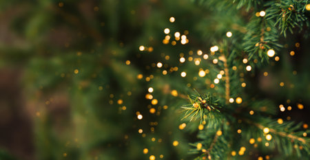 Outdoor christmas tree background with light bokehの写真素材