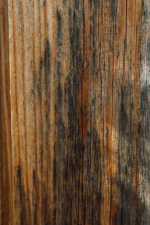 Weathered wood board texture, verticalの写真素材