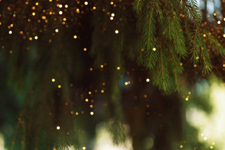 Festive golden bokeh among fir branches, warm Christmas backgroundの写真素材