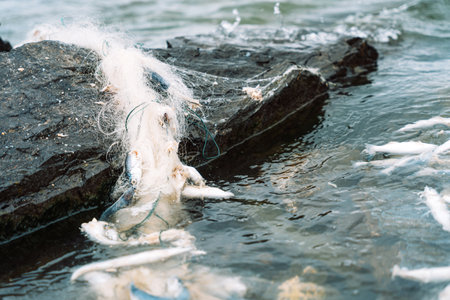 Close-up monofilament fishing net on wet rock