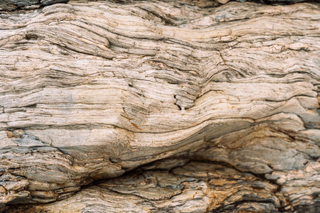 Pale layered rock with flowing lines and fine grainの写真素材