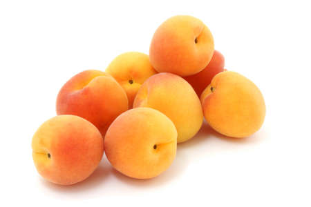 Apricot.の写真素材