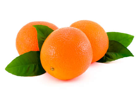 Ripe oranges with green leavesの写真素材