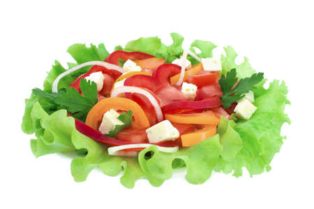 	Salad の写真素材