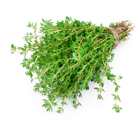 Thyme isolated on white backgroundの写真素材