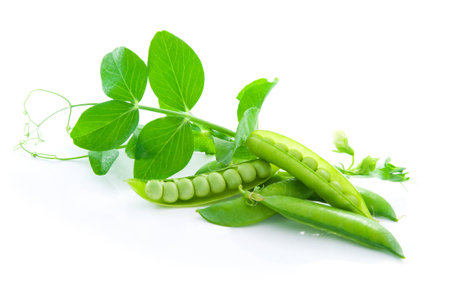 Fresh, green, sweet peasの写真素材